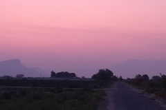 Sunset-253